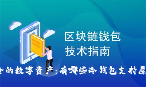 探索安全的数字资产：有哪些冷钱包支持屎币存放？