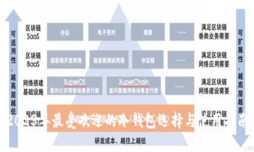 2023年最受欢迎的冷钱包选择与使用指南