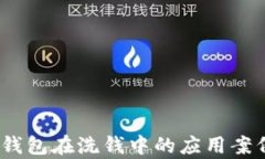 深入探析：冷钱包在洗钱