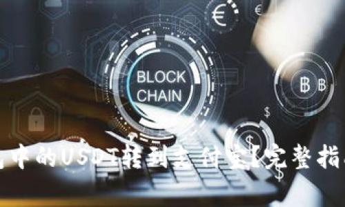 如何将冷钱包中的USDT转到支付宝？完整指南与注意事项
