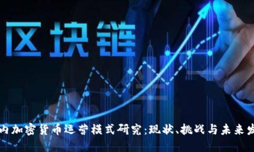 国内加密货币运营模式研究：现状、挑战与未来发展