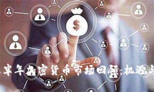 2023年上半年加密货币市场回顾：机遇与挑战并存
