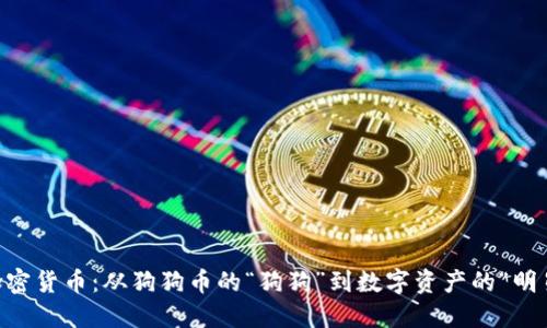 SHIB加密货币：从狗狗币的“狗狗”到数字资产的“明星”之路