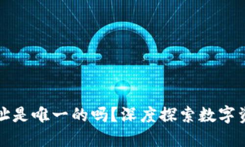 冷钱包收款地址是唯一的吗？深度探索数字资产安全与隐私