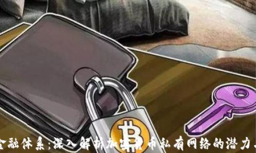 
颠覆金融体系：深入解析加密货币私有网络的潜力与挑战