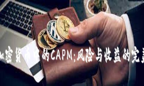 揭秘加密货币中的CAPM：风险与收益的完美平衡
