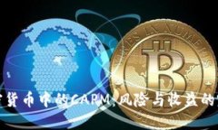 揭秘加密货币中的CAPM：风险与收益的完美平衡