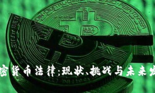 印度加密货币法律：现状、挑战与未来发展趋势