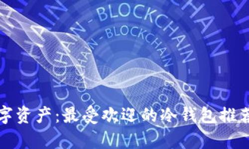 安全存储数字资产：最受欢迎的冷钱包推荐与使用指南