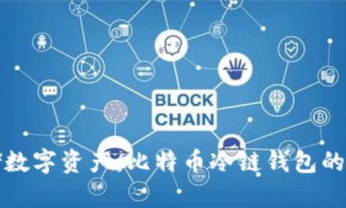 安全存储数字资产：比特币冷链钱包的全面指南