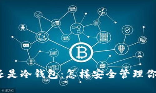 选择热钱包还是冷钱包：怎样安全管理你的数字资产？