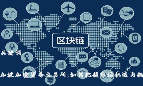 和关键词


新加坡加密货币交易所：如何把握市场机遇与挑战