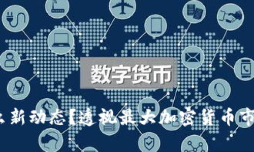 2023年有什么新动态？透视最大加密货币市场的实用价值