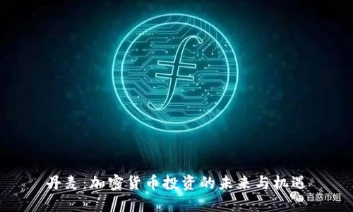 丹麦：加密货币投资的未来与机遇