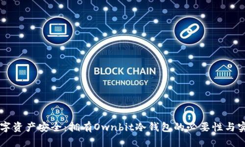 掌握数字资产安全：拥有Ownbit冷钱包的必要性与实用指南