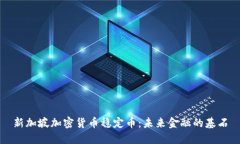 新加坡加密货币稳定币：未来金融的基石