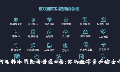如何选择冷钱包与普通U盘：你的数字资产安全之路